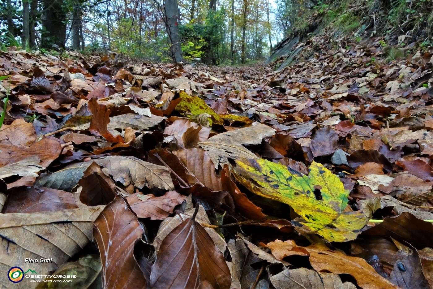 18 Strada sterrata colorata d'autunno.JPG